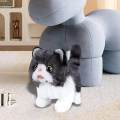 Cute Electric Cat Plush Toy Musical Gift Plush Stuffed Animal for Toddlers Children's Baby. 