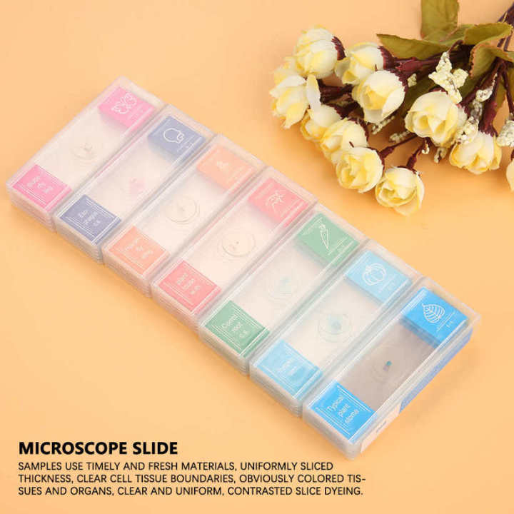 Microscope%20Slide%20Specimens%20Biological%20Prepared%2035pcs%20High%20Quality%20-%20Image%209