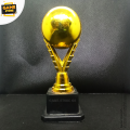 Golden Colour Cricket Player Award Trophy - Best Player Award Trophy 8 Inches 1 pcs. 