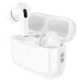 Hoco EW51 ANC True Wireless Bluetooth Earbuds. 