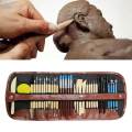 36Pcs Polymer Clay Tools Embossing Shaping DIY Ceramics Clay Sculpting Tools. 