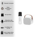 2023 Bluetooth Wireless Portable Speaker Multi-function Karaoke Microphone Music MP3 Player Karaoke Machine For Kids Adults Home.