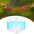 DIY Moisture with Feeding Area Ant Nest Ant Farm Ant Nests Villa Pet. 
