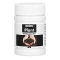 50g Rooting Powder Root Fertilizer for Vegetable Fruit Transplanting Seedlings. 