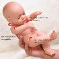 【Free shipping】 30cm Baby Reborn Full Realistic Reborn Baby Body Alive Babies Toys For Girls Kids Gift. 