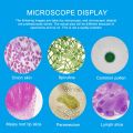 1200X Children Science Toy Biological Microscope Set Monocular Microscope with Mount Biological Experiment Tool Educational Toy. 