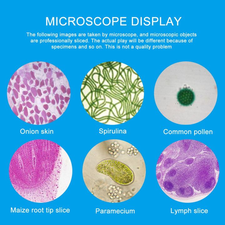 1200X%20Children%20Science%20Toy%20Biological%20Microscope%20Set%20Monocular%20Microscope%20with%20Mount%20Biological%20Experiment%20Tool%20Educational%20Toy%20-%20Image%206