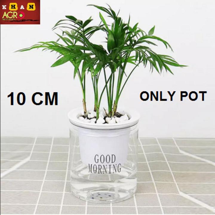 Transparent%20flower%20pots%20automatically%20absorb%20water%20round%20plastic%20hydroponic%20potware%20creative%20succulent%20plant%20pots%201%20PCS%20-%20Image%203