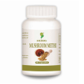 Mushroom Methi Supplement by Herbs 60 Capsules. 