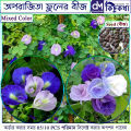 অপরাজিতা / Aparajita Flower Seed - 05/10 pcs Seed of Mixed Color Oporajita Seed for All Season Single & Double Petal Mixed - অপরাজিতা ফুলের বীজ.