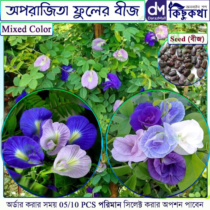 অপরাজিতা / Aparajita Flower Seed - 05/10 pcs Seed of Mixed Color Oporajita Seed for All Season Single & Double Petal Mixed - অপরাজিতা ফুলের বীজ