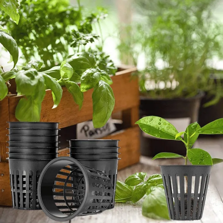 45%20Pieces%20Hydroponic%20Net%20Pots,%20Plastic%20Net%20Pot%20for%20Garden%20Balcony%20Hydroponics%20and%20Sless%20Culture%20(8Cm)%20-%20Image%206