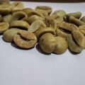Brazilian Green Coffee Bean ( 4+1) starting course for weight lose. 