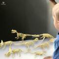 Dinosaur Skeleton Models Bones Figures for Festival. 