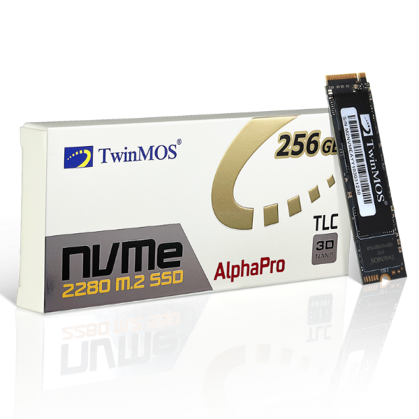 TwinMOS%20256GB%20NVMEDGBM2280%20%20M.2%20NVME%203%20Gen.%202280%20SSD%20-%20Image%202
