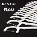 Dental Floss Pick Toothpick Interdental Cleaner Tooth Pick Flosser (50 Piece). 