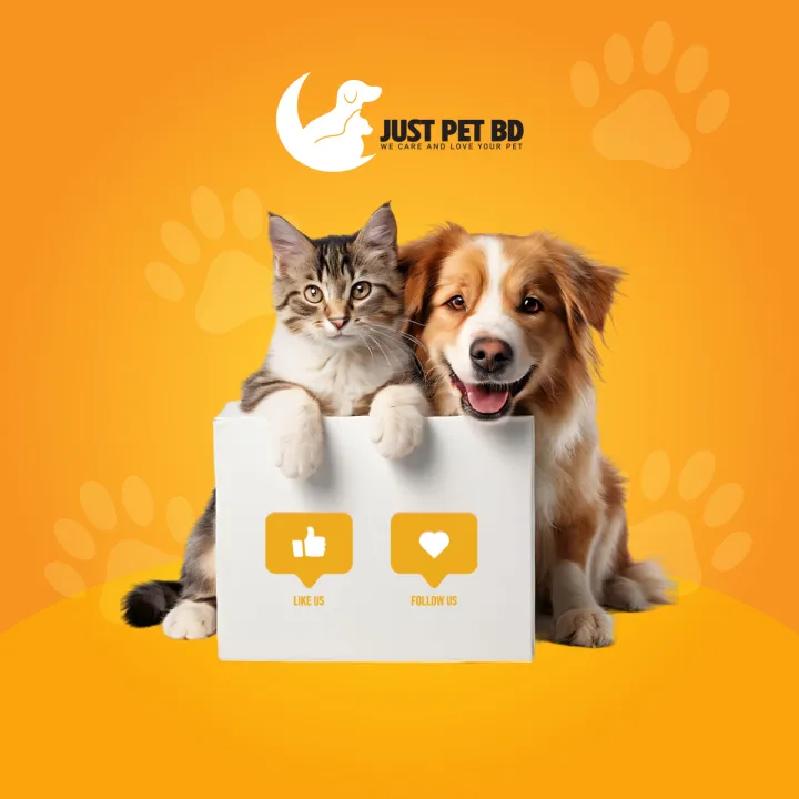 Double%20Bowls%20Pet%20Food%20Water%20Feeder%20Automatic%20Pet%20Feeding%20Bowl%20for%20Dog%20Cat%20Puppy%20Rabbit%20-%20Image%205