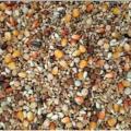 Pigeon Mixture  Pigeon Food 500 gm. 