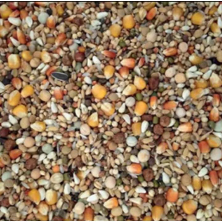 Pigeon Mixture  Pigeon Food 500 gm