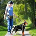 Cute #Lake Blue Direct pet supplies multi-function running reflective pull dog leash double elastic dog leash traction. 