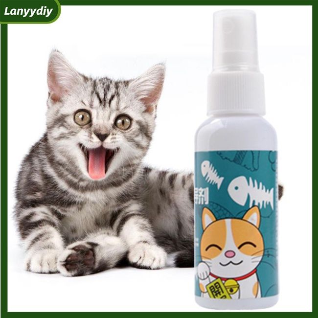 gd Cat Catnip Spray Natural Healthy Safe Long-term Effect Scratching Pad Inducer Pet Training Toy