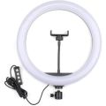 10 inch LED Ring Fill Light Ring light Photography Beauty Light with 3 light modes, 11 adjustable brightness level.