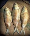 Shutki (Salty Hilsa Dried Fish) -600gm. 