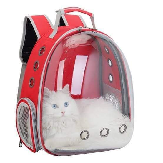 Bangladesh U Pet Carrier Pet Cat, Puppy, Bird, Rabbit Small Pet