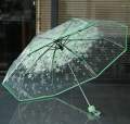 Transparent Flower Design Folding Fashion Umbrella for Women - Compact and Waterproof. 