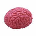 1 Pc Novelty Squishy Brain Toy Squeezable Fun Toys Relieve Stress Ball Cure Toy Cartoon Animal Squeeze Nostress Toy Dropshipp. 