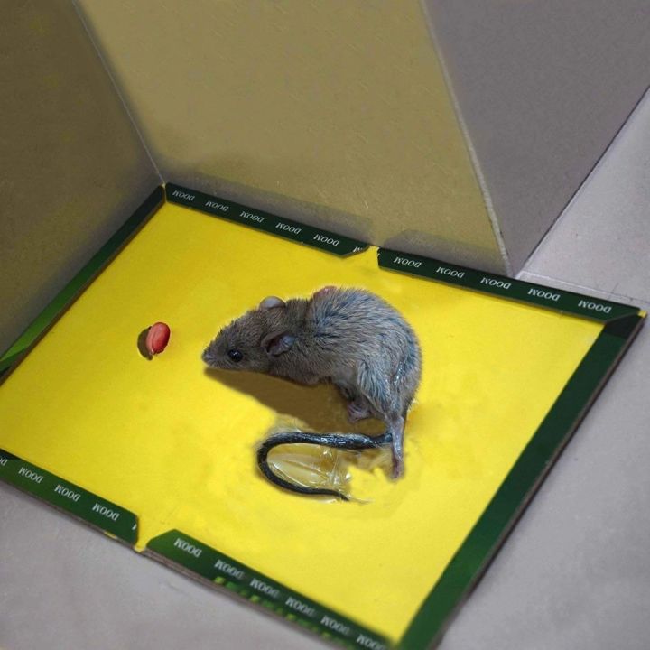 Mouse%20Board%20Sticky%20Mice%20Glue%20Trap%20High%20Effective%20Rodent%20Rat%20Snake%20Bugs%20Catcher%20Pest%20Control%20Reject%20Non-toxic%20-1%20Piece%20-%20Image%209