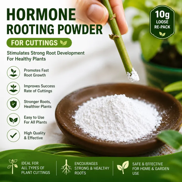 Hormone%20Rooting%20Powder(For%20Cuttings)%2010g%20Loose%20Re-Pack%20-%20Image%202