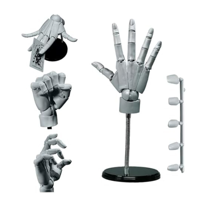 Hand Model 1:1 Articulated Mannequin Hand Moveable Joint+Base DIY PVC ...