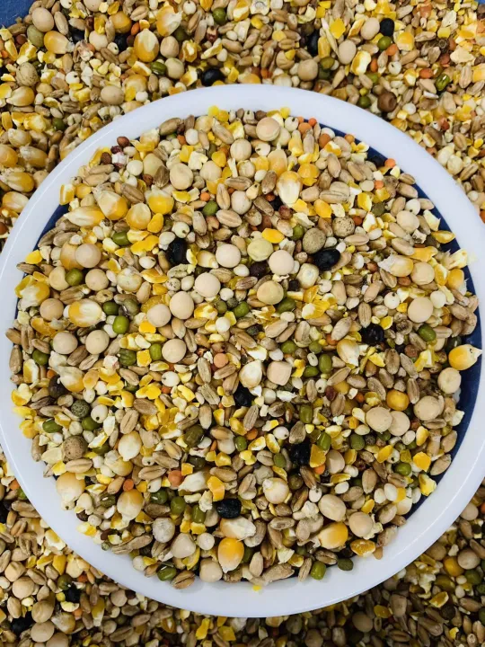 Pigeon%20Seed%20Mix%20Kobutor%20Mix%20Special%20Racer%20Mix%20(%20Vutta%20Vangga%20Soho%20Homa%20Mix%20)%20-1kg%20-%20Image%203
