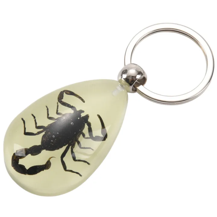 5X%20Glow-In-The-Dark%20Real%20Insect%20Keychain%20()%20-%20Image%204