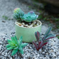 1PC Artificial Green Succulents Creative  DIY Flower Head Home Garden Desktop Decoration Plants. 