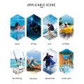 Men's five-point swim trunks Swimwear Man Swimsuit Swim Trunks Summer Bathing Beach Shorts Men Swimming Pants Board Shorts.