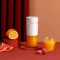 Xiaomi MIJIA Mini Juice Blender 300ML Portable Juicer Cup. 