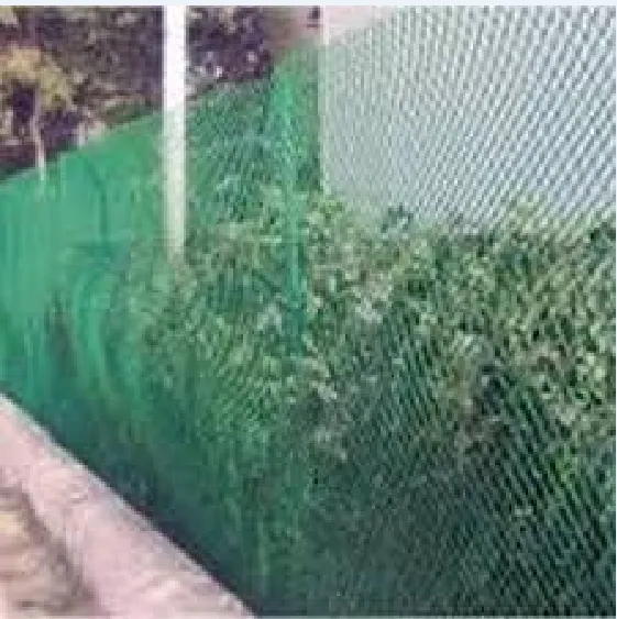 Garden%20Fencing%20Net%20150%20Fit%20Long%204%20Fit%20Wide%20-%20Image%204