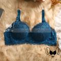 Soft Comfortable Net Pushup Foam Bra for Hot & Sexy Girl/Women.