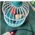 RANI Talking Birds Toy Rechargeable Talking and Chirping Birds for Kids with Charger Cable. 