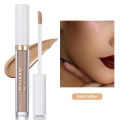 Liquid Foundation Concealer Stick Natural Ivory Matte Highlighter Brighten Face Makeup.