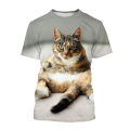 2024 Animal Graphic T-shirt For Men Clothing 3D Kawaii Cat Print T Shirt Casual Streetwear O Neck Short Sleeve Tops 4XL.