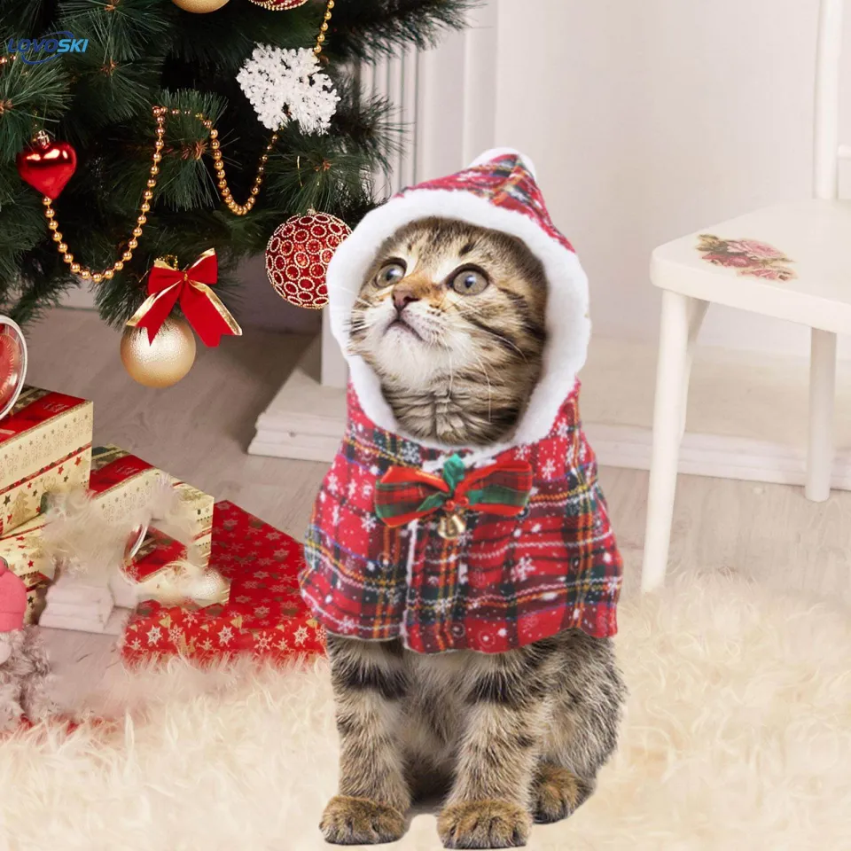 christmas dress for chubby women Women's Light Strand Sweater Plaid print brings classic New Arrivals-Dresses Color:Autumn Maple Summer Short Dresses for