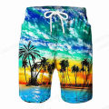 Tropics Sea Island y2k Beach Shorts Pants Men 3D Printed Surfing Board Shorts Summer Hawaii Swimsuit Swim Trunks Cool Ice Shorts.