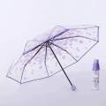 Transparent Flower Print  Ladies Folding Umbrella /Transparent Umbrella For Women. 