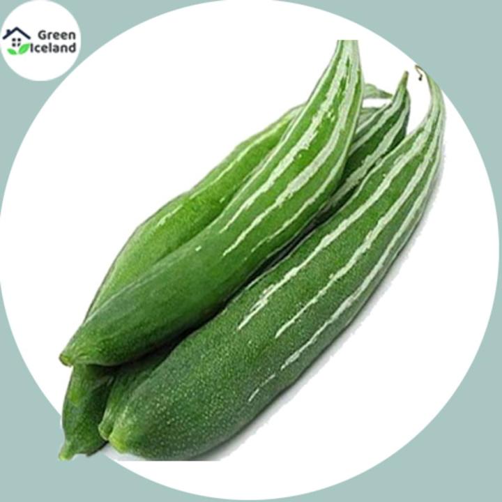 Nastya Kamenskikh yalangoch mushuk korsatish Ayollar erkaklarni sorishadi