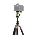 Triopo GT-2505x8.C Adjustable Portable Carbon Fiber Tripod with B-1 Aluminum Ball Head for Canon Nikon Sony DSLR Camera.