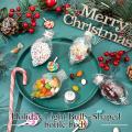 Clear Plastic Bulb Ornaments Christmas Crafts Supplies Fillable Christmas Bulbs Light Bulb Shaped Ornaments DIY Christmas Ornaments. 