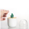 Cotton Swab Holder Plastic Cactus Shape Toothpick Holder Q tips Container Toothpicks Storage Organizer Mini Tree Decorated. 